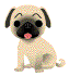 busta.gif