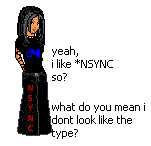 nsyncfan1.jpg